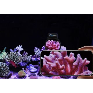 Maxspect Pastel Reef Magnifier L