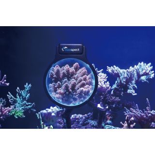 Maxspect Pastel Reef Magnifier L