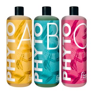 Phyto B 500ml