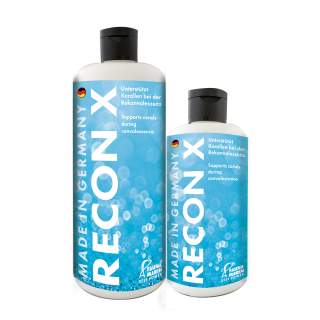 Recon X 500ml