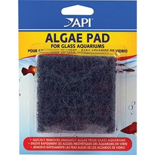 API Algae pad pour aquarium en verre