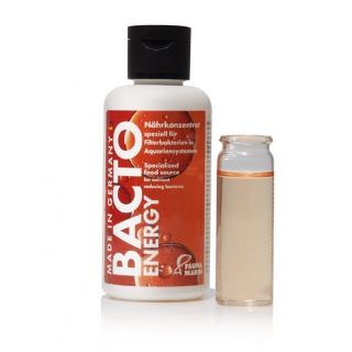 Bacto Energy 100ml