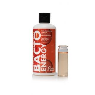 Bacto Energy 250ml