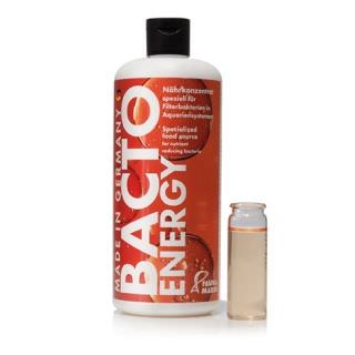 Bacto Energy 500ml