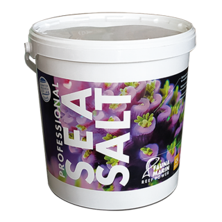 Professional Sea Salt - 25kg Seau