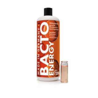 Bacto Energy 1000ml